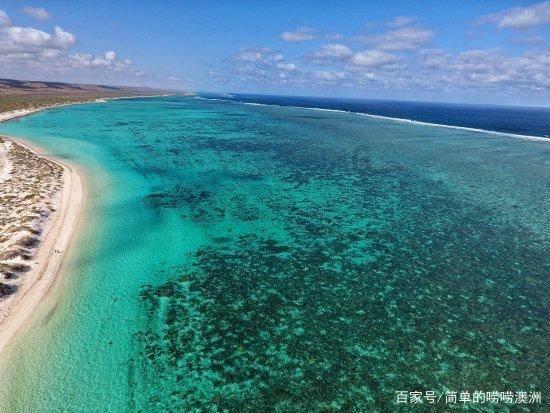 饭量大小决定寿命长短?研究发现:饭量减少1/3,寿命延长35%!